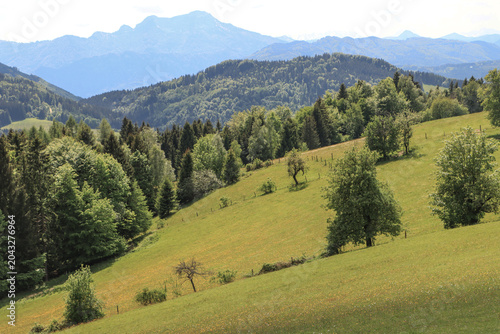 Almidylle im Attergau; Blick vom Gahberg zum Schäferberg