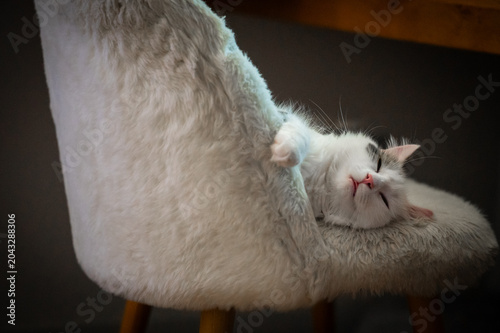 chat