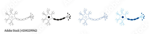 Foto Motor Neuron Icon Set . Vector Illustration.