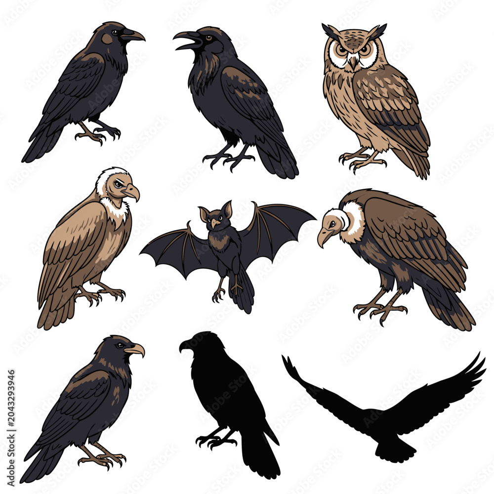 Fototapeta premium Set of various birds vector illustrations for design elements