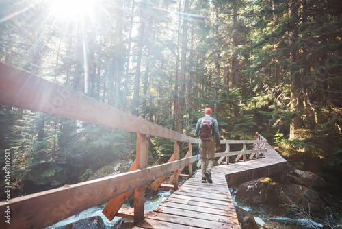 Boardwalk in the forest