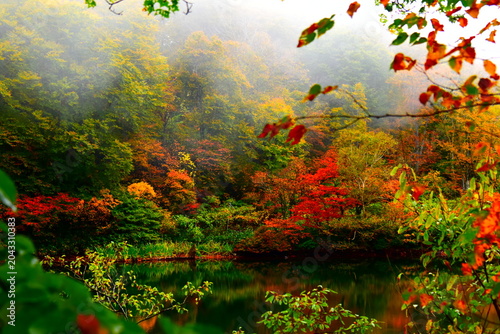 山形県 山形市の蔵王中央ロープウェイ（秋）