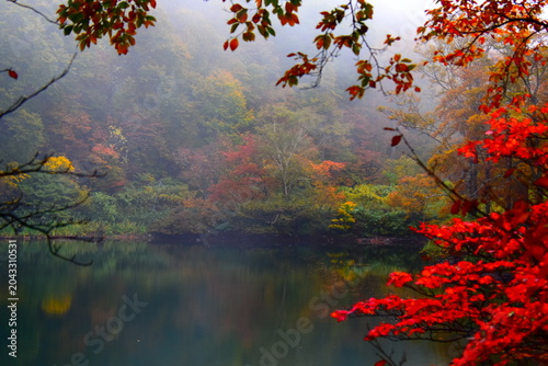 山形県 山形市の蔵王中央ロープウェイ（秋）