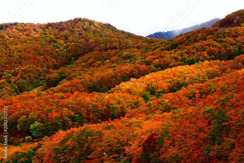 山形県 山形市の蔵王中央ロープウェイ（秋）