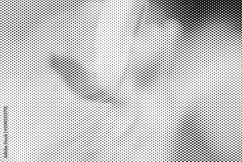 Subtle halftone dot gradient of flower petals on a transparent background. Minimalist floral texture for design.