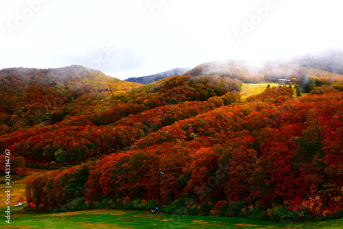 山形県 山形市の蔵王中央ロープウェイ（秋）