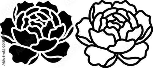 Elegant Camellia Bloom Vector Illustration