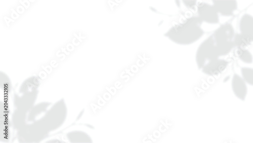 tree, branch, leaves, leaf, window, shadow, overlay, transparent, background, foliage, leaves, branch, dappled, sunlight, corner, frame, border, copy space, soft, blur