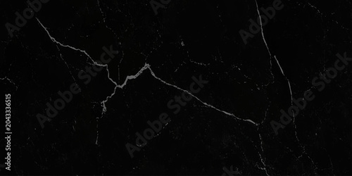 Tableau sur toile Black marble texture background with white veins vector illustration