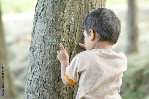 Foto A young child exploring and touching the textured bark of a tree trunk in a natu