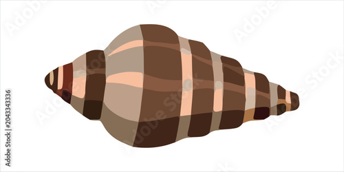 Schilderij op canvas Spiral conch seashell vector illustration isolated on white background
