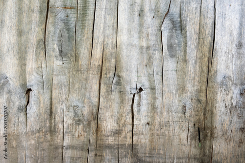 Old weathered wooden board texture with deep cracks