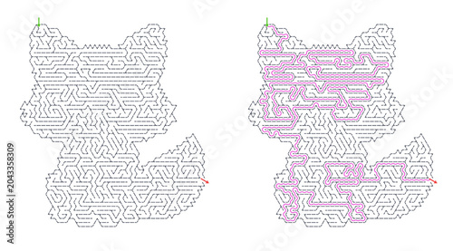 Photography Fox-shaped hexagonal maze puzzle with highlighted solution path