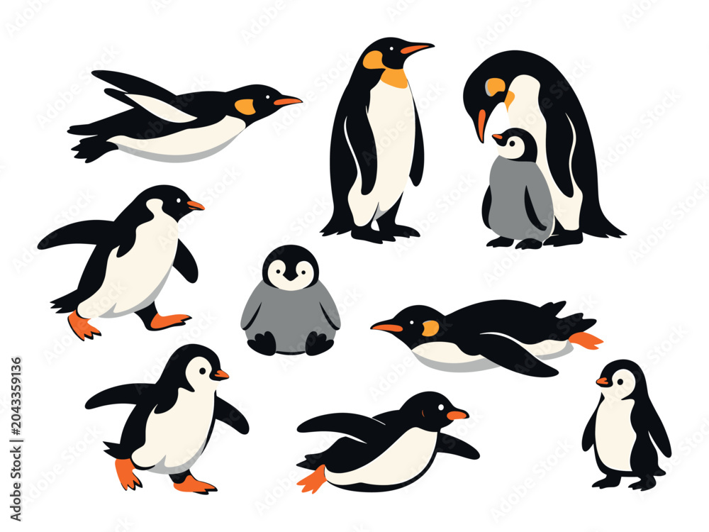 Obraz premium Penguins vector collection showing imperial birds in different actions, including adult and young animals, concept of arctic wildlife