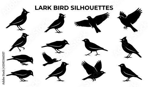 Foto Black and white lark bird silhouette vector set with songbird wildlife icons iso