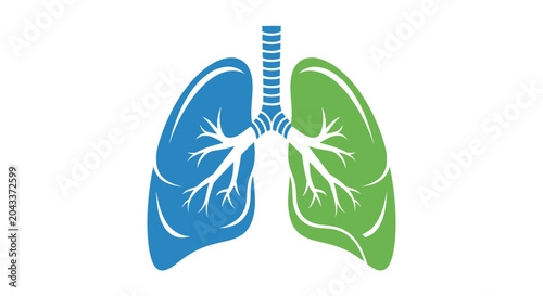 A stylized illustration of human lungs showing respiratory system anatomy