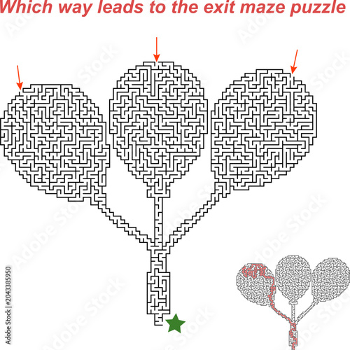 Maze vector illustration featuring three balloon shapes with pathways leading to an exit, designed as a puzzle for entertainment and cognitive challenge