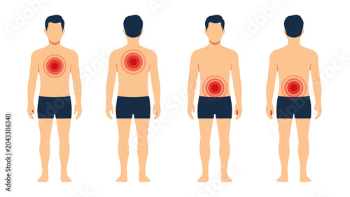 Male body pain localization set with chest back and abdomen