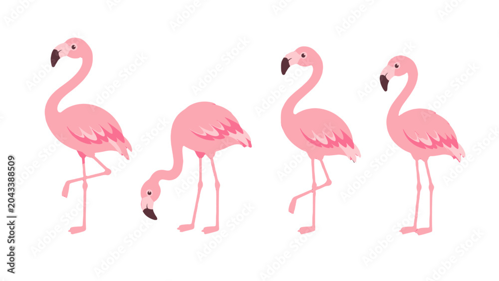 Fototapeta premium Set of pink flamingo cartoon birds in different poses