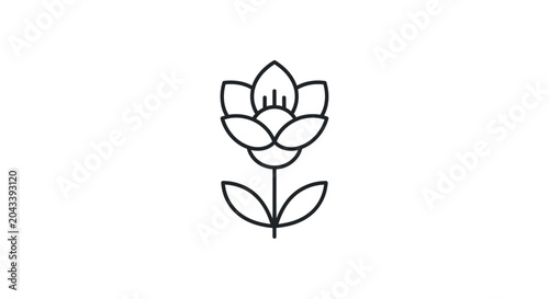 Minimalist black and white botanical illustration of a flower on a white background