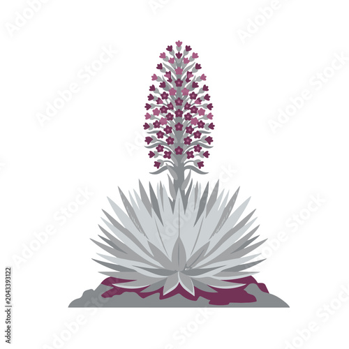 Ultra Flat Metallic Silver Leaved Hawaiian Silversword Vector