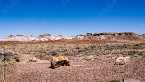 The rugged and spectacular lamdscape of the Petrified Foraest National Park East of Holbrook AZ