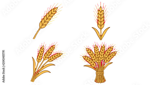 Fotografía Set of hand drawn wheat ears and sheaf vector illustrations