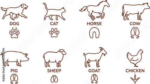 Εκτύπωση καμβά Set of farm and domestic animal icons including dog cat horse cow pig sheep goat and chicken with footprints