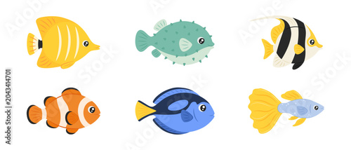 Cuadro en lienzo Tropical fish collection isolated on transparent background