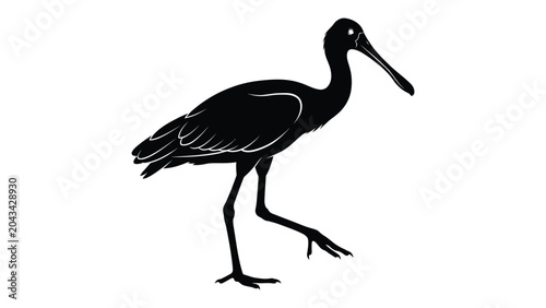 Bilde på lerret Ibis stands in a sharp black silhouette against a clean white background