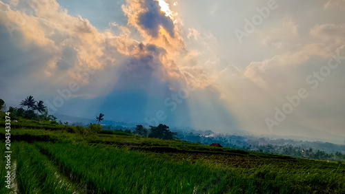 Foto The sun's rays penetrate the clouds, greening the fertile rice fields