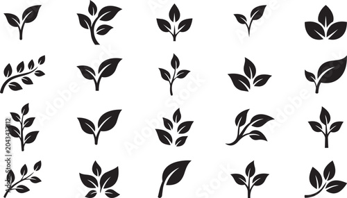 Leaf and Plant Icon Collection