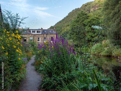summer flowers growing outside of houses in hebden bridge alongside the rochdale canal in summer sunlight