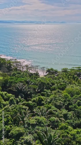 Aerial view of a tropical beach and rainforest
