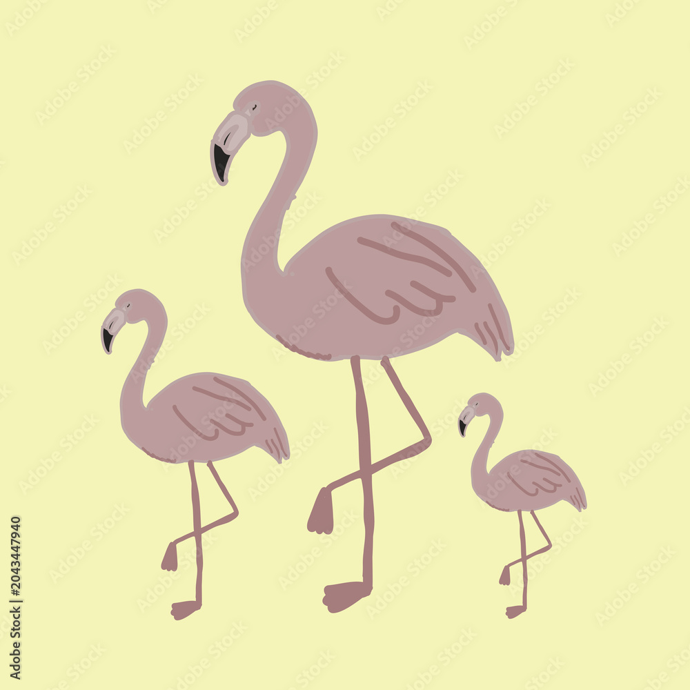 Obraz premium Hand-drawn of flamingos illustration