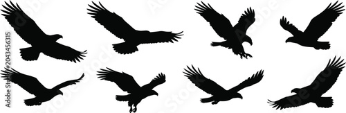 Foto Flying eagle silhouettes collection isolated on light background vector bird of