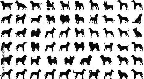 Bild auf Leinwand Large collection of dog breed silhouettes isolated on light background vector se