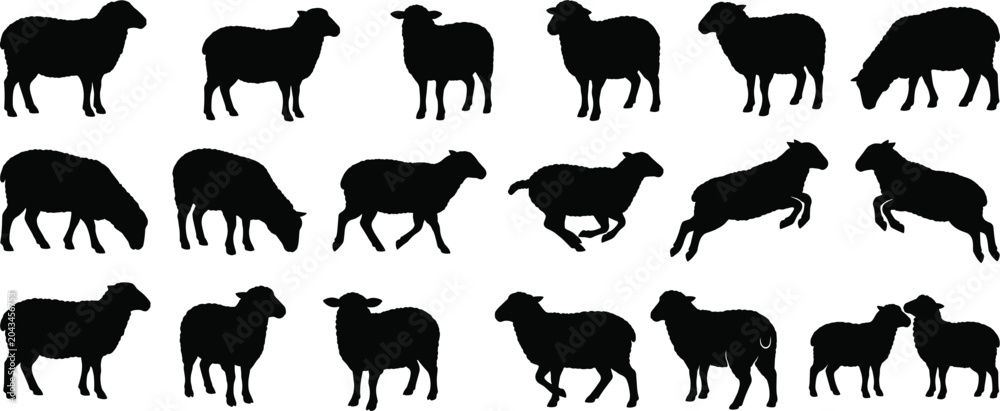 Obraz premium Sheep silhouette collection isolated on light background vector set featuring grazing standing running and jumping sheep
