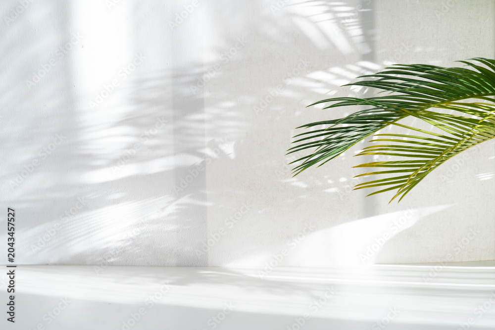Obraz premium Minimalist nature background with a vibrant green palm leaf casting delicate shadows on a textured white wall. Bright sunlight, copy space for product display, summer aesthetic, clean interior.
