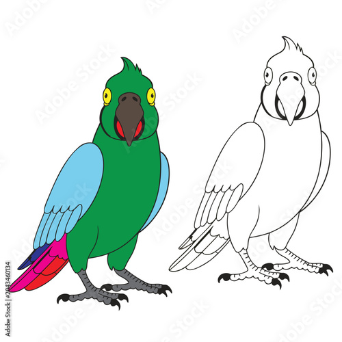 coloring book for kid parrot vector