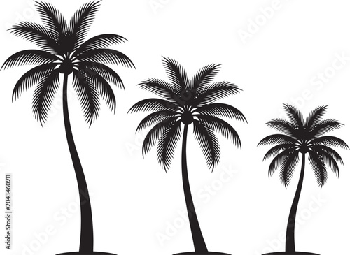 Photos Black silhouettes of palm trees for design