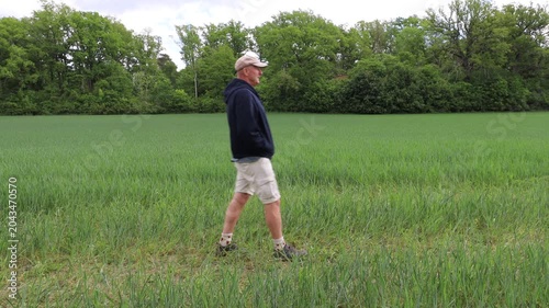 Arno, Sweden A man walks on a wheat field in summertime. 