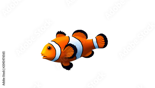 Small orange and white clownfish swimming isolated on a plain white background surface isolated on a transparent background