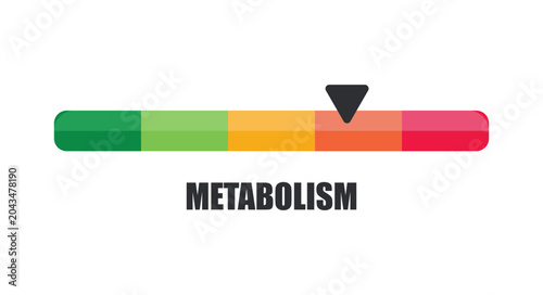Cuadro en lienzo Horizontal Metabolism Indicator Bar Pointing to Slow Risk Zone