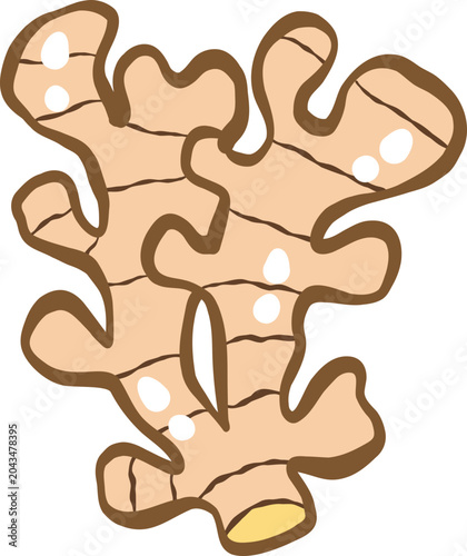 cute ginger herb vegetable food vector cartoon illustration