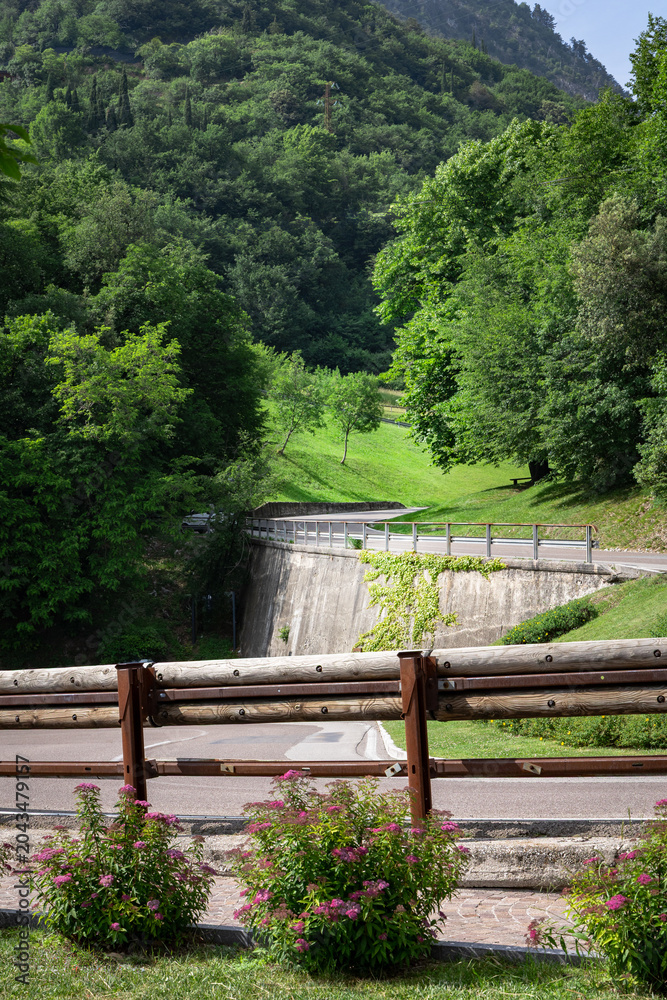 Fototapeta premium Curved mountain road surrounded by lush green forest in northern Italy