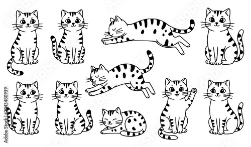 Photography Hand Drawn Cat Illustration Collection Featuring Different Sitting Standing Rest