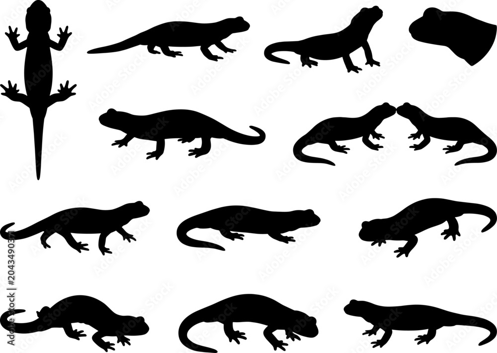 Fototapeta premium Diverse salamander silhouette variety pack showing different species of amphibians in motion and rest