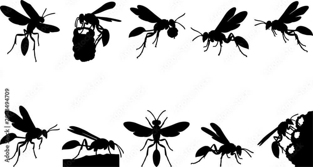 Fototapeta premium Thread-waisted wasp silhouette bundle pack showing various mud dauber poses and nest building