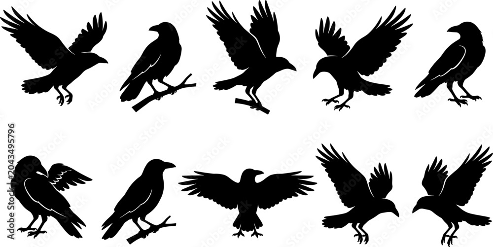 Fototapeta premium Crow and raven silhouette pack showing flying and perching bird poses for nature and spooky themes